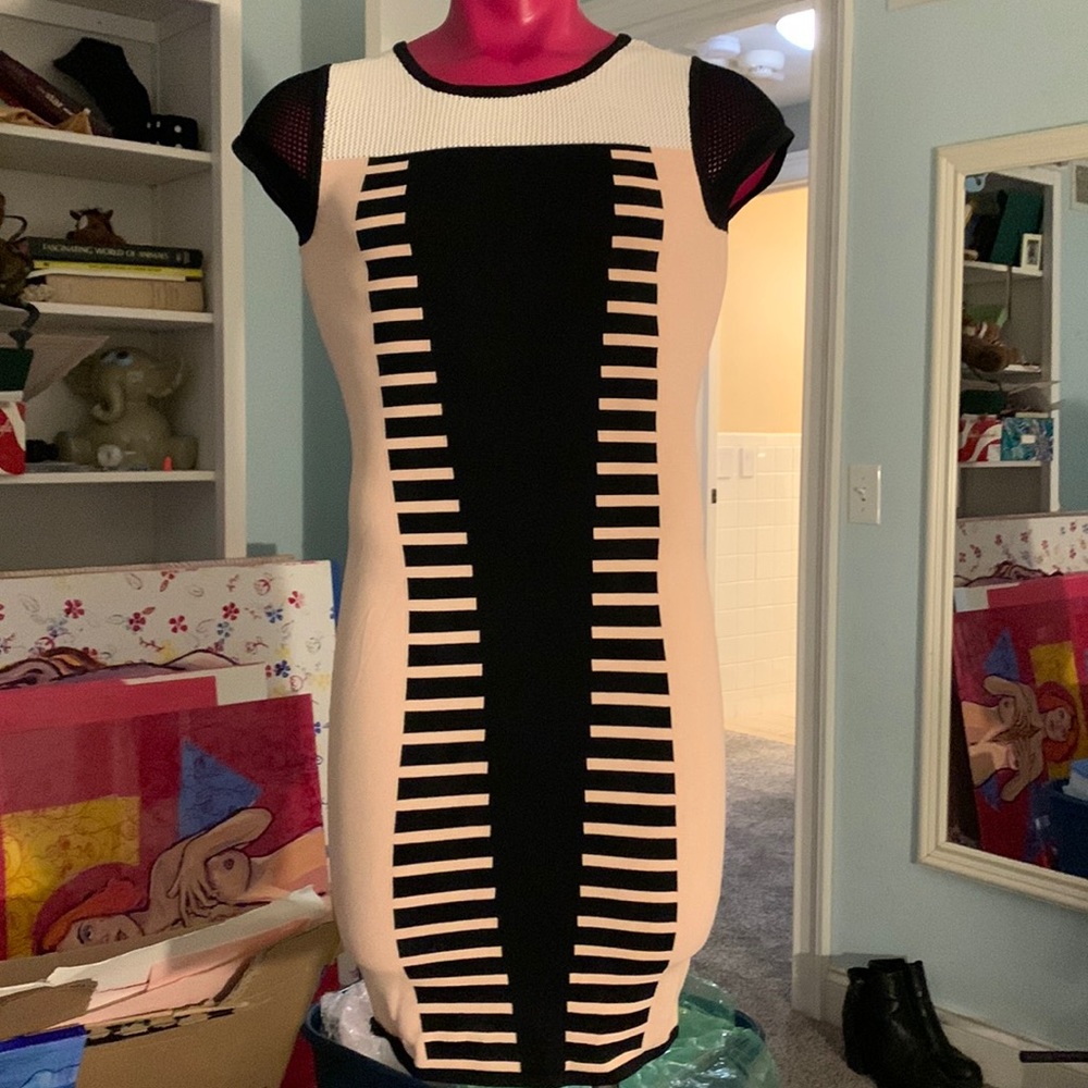 Bar lll pink zipper dress